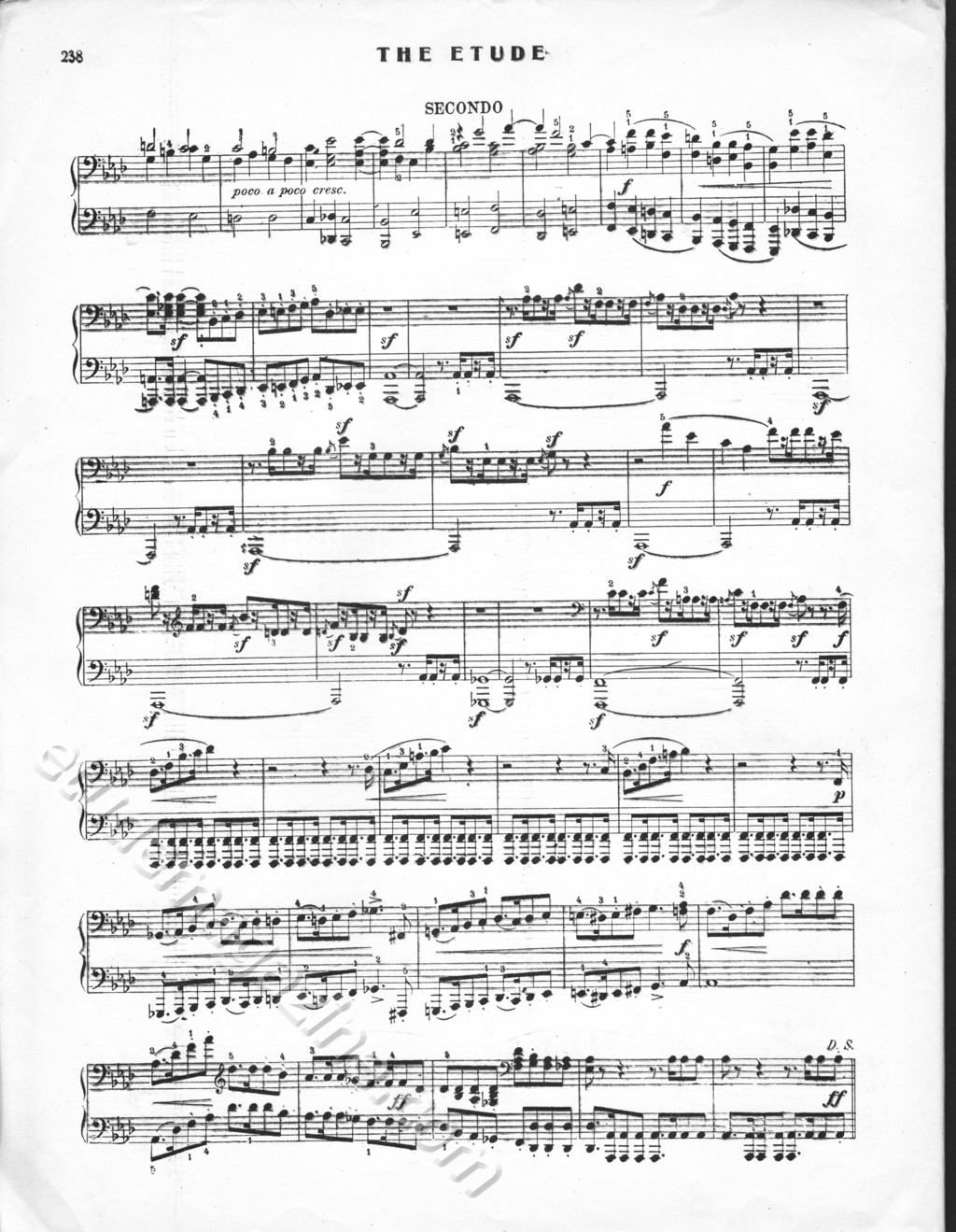 Finale, Etude Symphonique. R. Schumann, Op. 13 (4-Hand Arrangement)