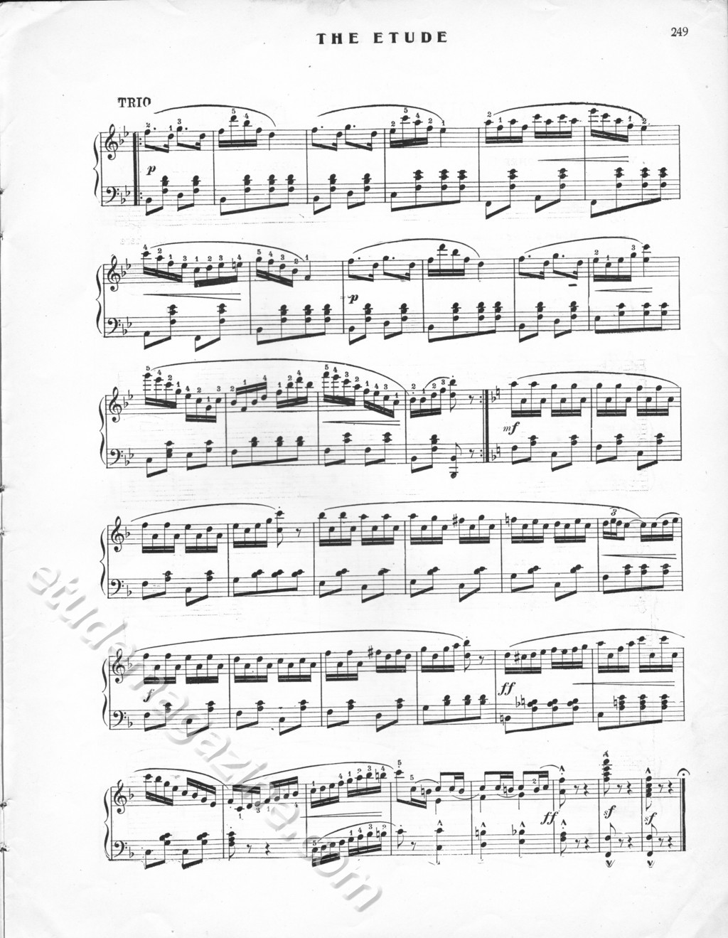 Le Carillon (Polka Brillante). Leon Ringuet, Op. 19.