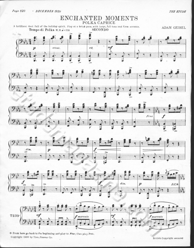 Enchanted Moments (Polka Caprice), for piano 4-hands. Adam Geibel.