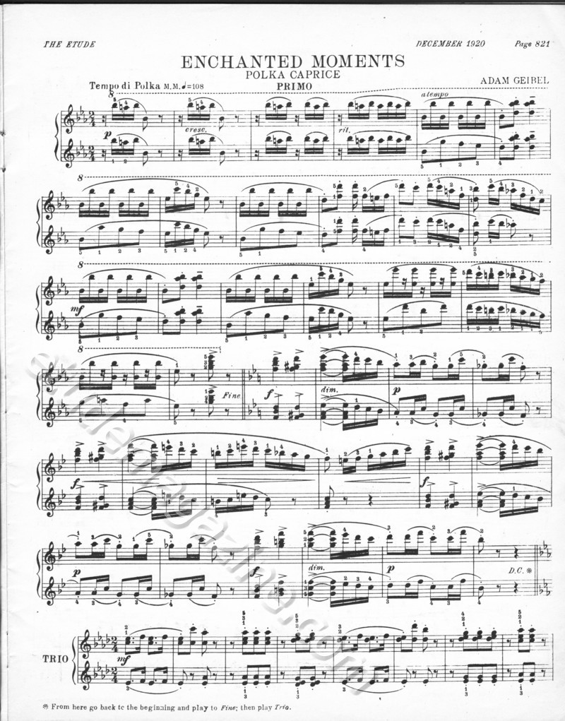 Enchanted Moments (Polka Caprice), for piano 4-hands. Adam Geibel.