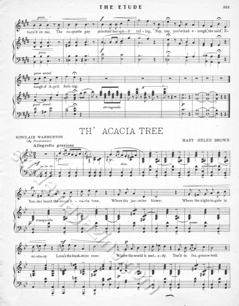 Th' Acacia Tree. Mary Helen Brown.