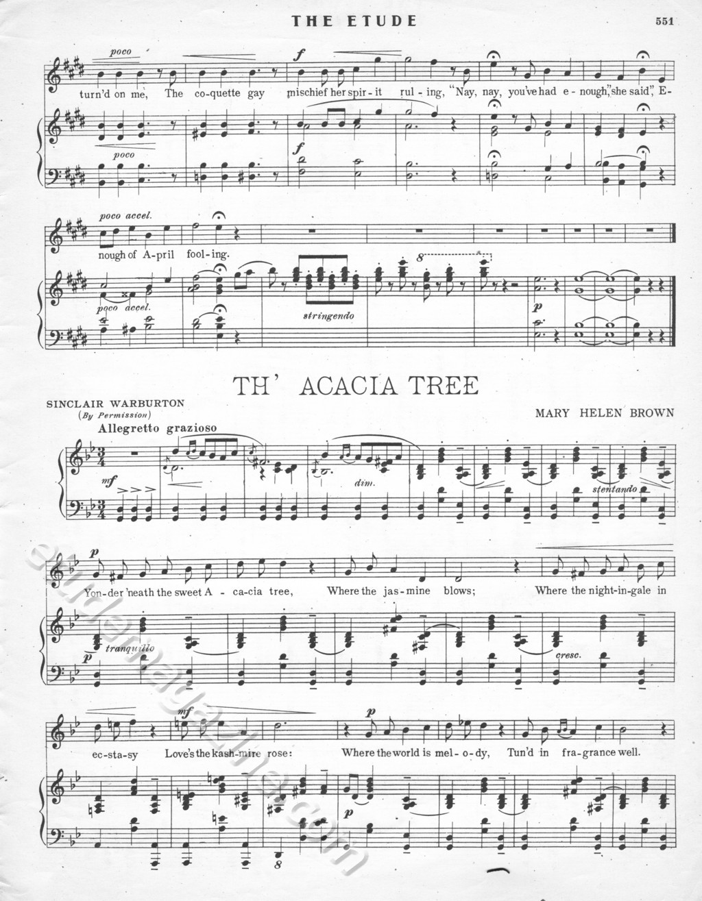 Th' Acacia Tree. Mary Helen Brown.