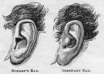 Mozart's Ear. Ordinary Ear.
