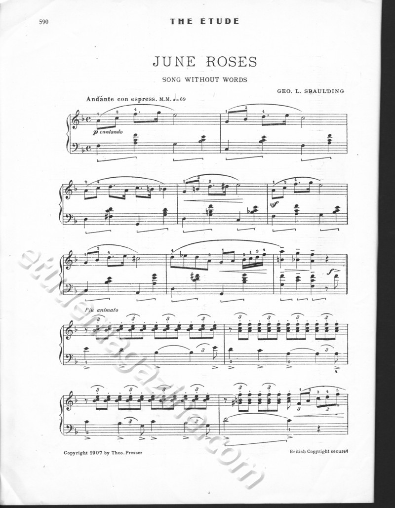 June Roses. Geo. L. Spaulding.