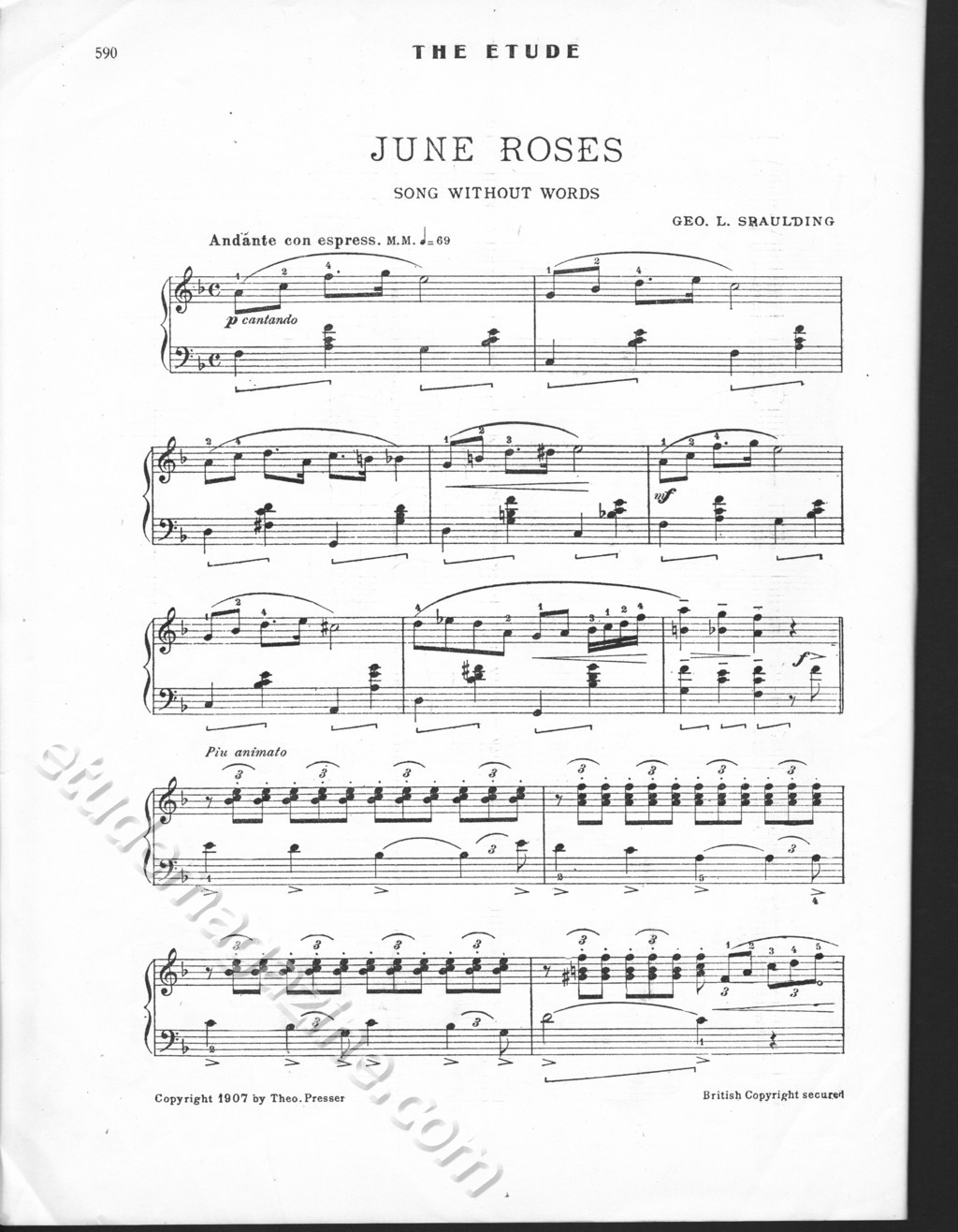 June Roses. Geo. L. Spaulding.
