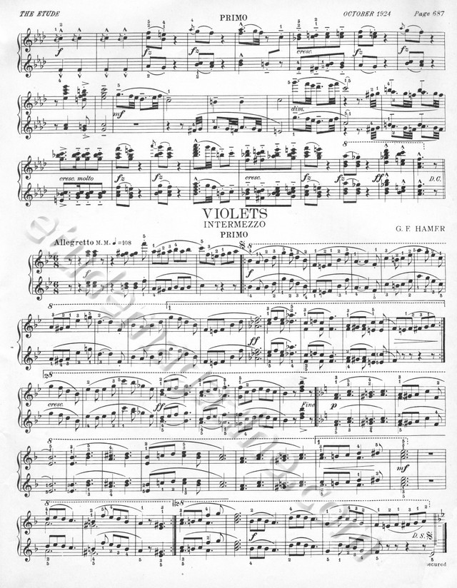 Violets (Piano 4-Hand). G. F. Hamer.